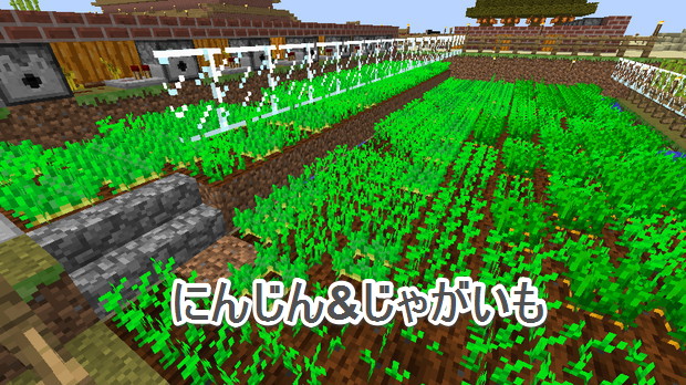 じゃがいも にんじん畑紹介 マインクラフト道場